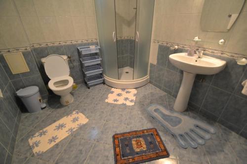 Villa Vila Ioana