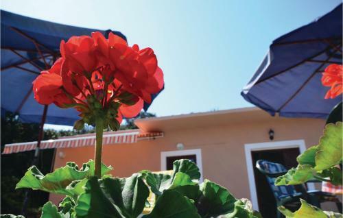 Holiday Home Mali Iz 40