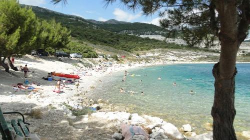 Holiday Home Apartment Tedo