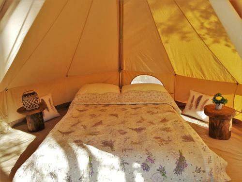 Robinson Accommodation Freedom