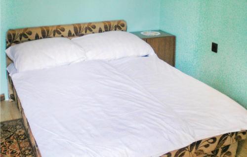 Three-bedroom Holiday Home In Balatonfenyves