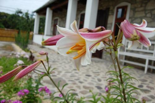 Hostal Vitamin B63 Vend�gh�z
