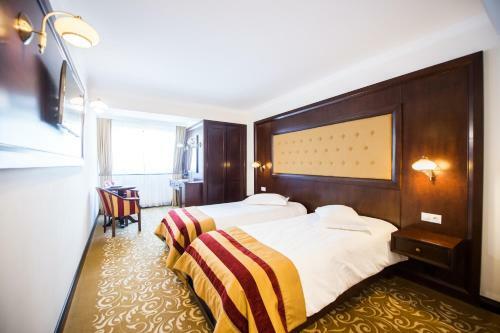 Hotel Silva Busteni