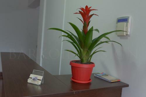 Albergue Casa Victoria