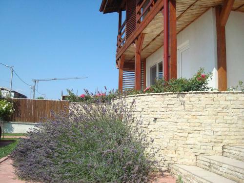 Hostal Pension Oasis