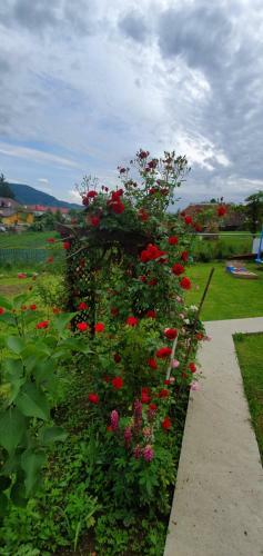 Hostal Belvedere La Cristina