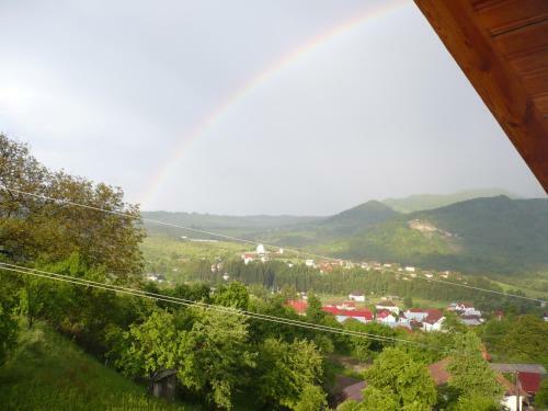 Hostal Pensiunea Tiuta
