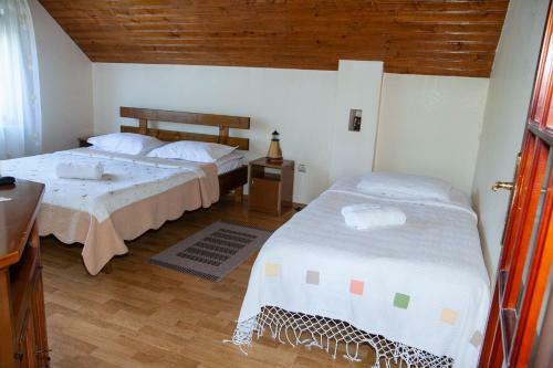 Hostal Rustic Argesean
