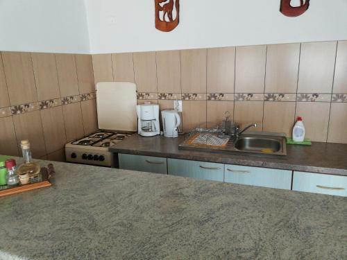 Hostal Rustic Argesean