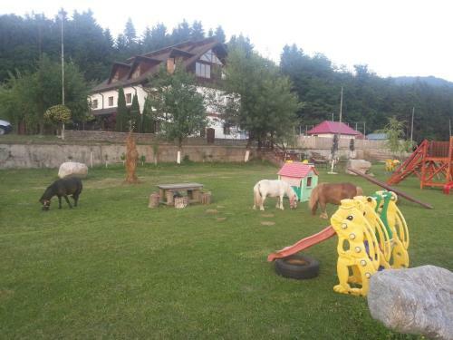 Hostal Pensiunea Trei Ponei