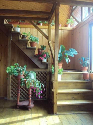Hostal Pensiunea Trei Ponei