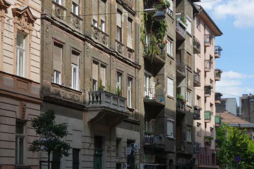 Vivid Rozsa Apartment