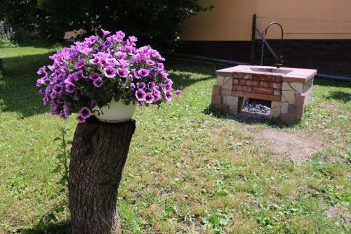 Hostal Lugas Vend�gh�z