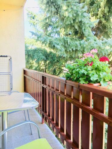 Apartamento Sunny & Green