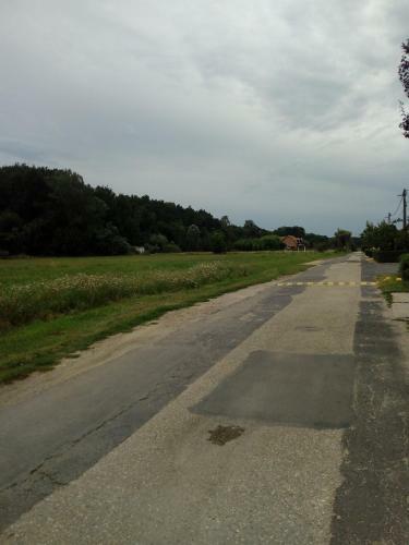 Di�na Vend�gh�z