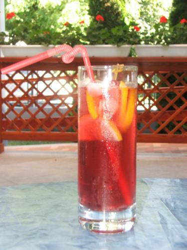 Hostal Bogl�rka Panzi� - �tterem �s Apartmanh�zak