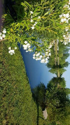 Horv�th Apartmanok