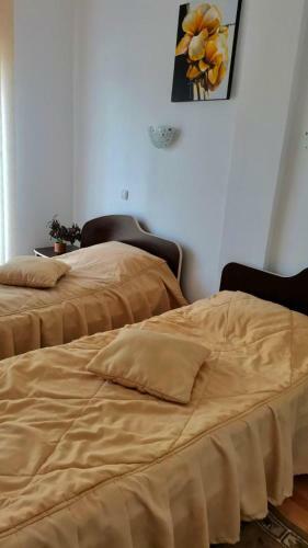 Hostal Pensiunea Anca
