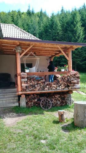 Cabana Pietricica