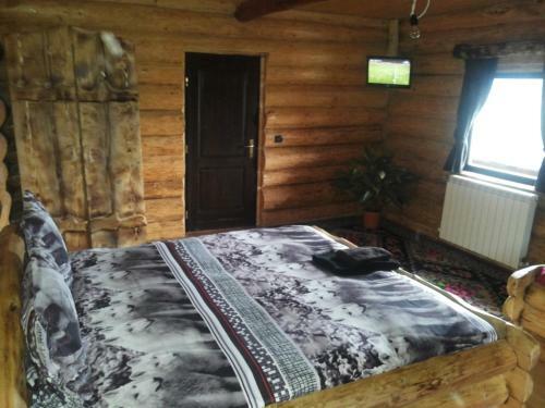 Cabana Vultur