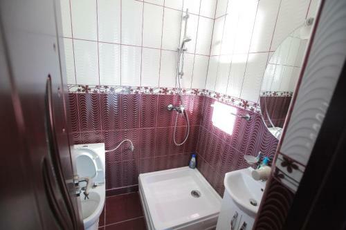 Hostal Pensiunea Lucian