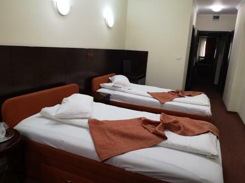 Hotel Helin Aeroport - Craiova