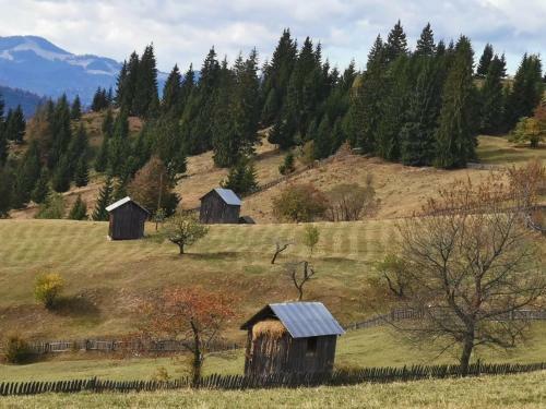Pensiunea Agroturistica Casa Colini?a