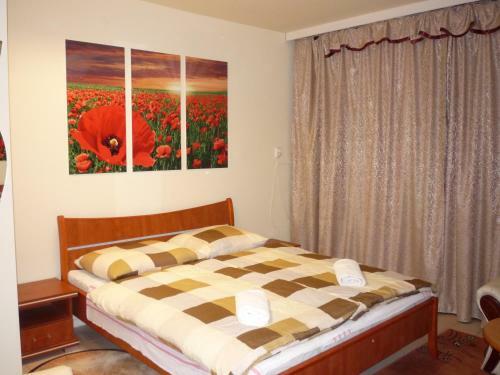 Bed & Breakfast �jjelibagoly Panzi�