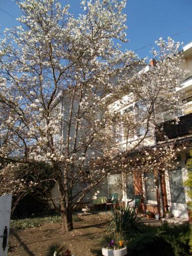 Bed & Breakfast �jjelibagoly Panzi�