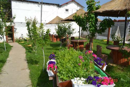 Hostal Casa Yachi