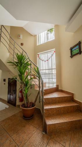 Hostal Pensiunea Ana