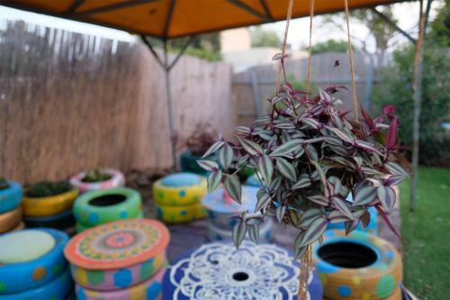 Golan Garden Hostel