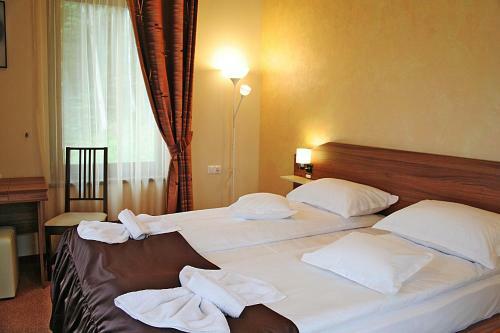 Hostal Sas Szallo