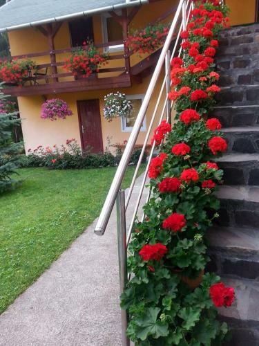 Hostal Pension Klarissa