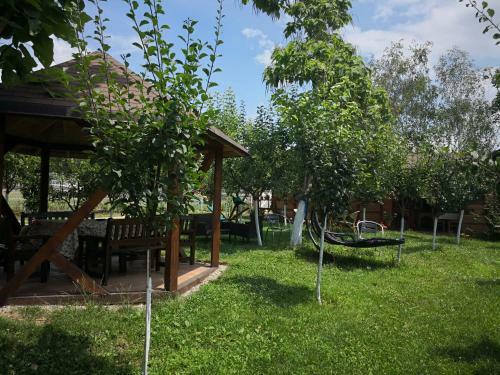 Hostal Alegria