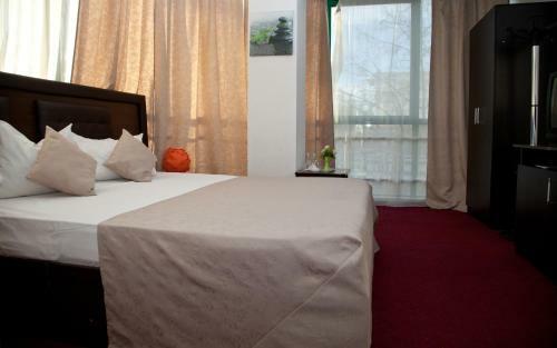 Hotel Metropol