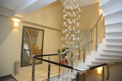 Hostal Papillon