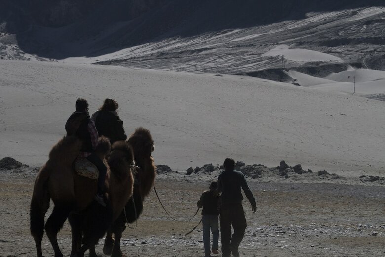 Hotel Chamba Camp, Diskit