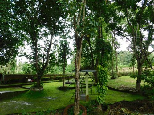 Hotel Wild Life Resort