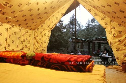 Hostel Cozy Beds