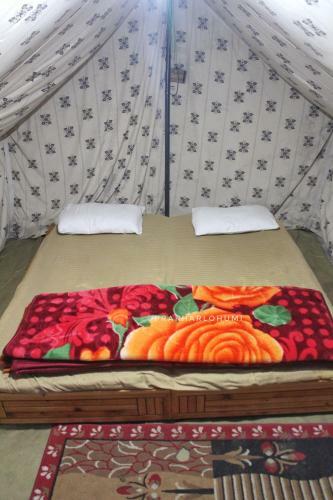 Hostel Cozy Beds