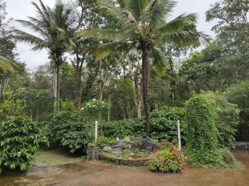 Coorg Dale Homestay
