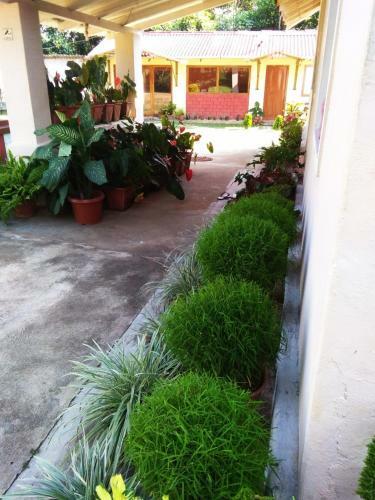 The Edge Stay