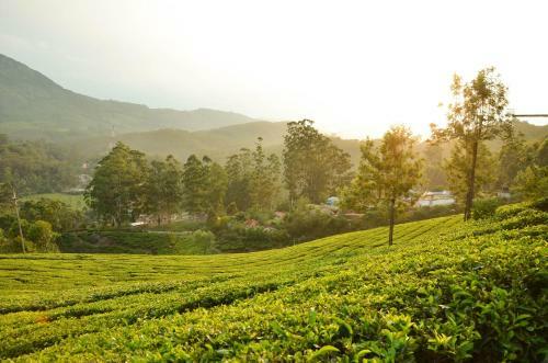 Munnar Valley View