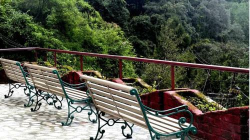 Beechwood Holiday Apartments