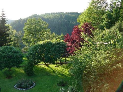 Apartamento Villa Nelly B.