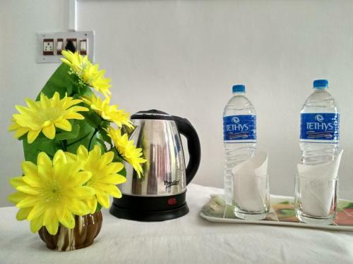 Blue Birds Homestay