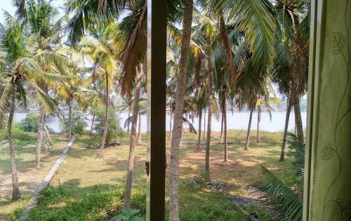 Blue Birds Homestay