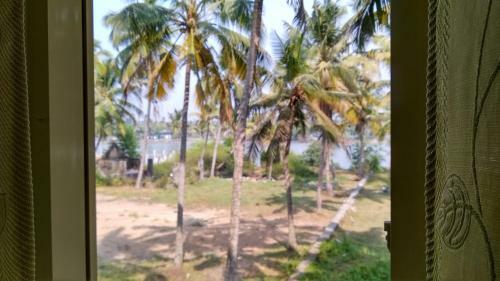 Blue Birds Homestay