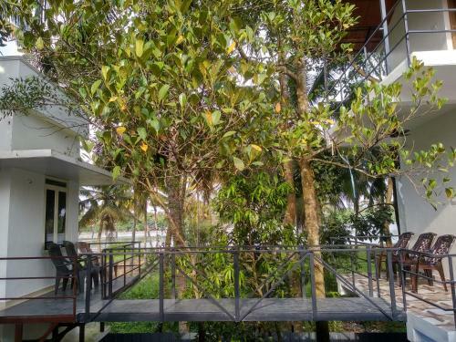 Blue Birds Homestay